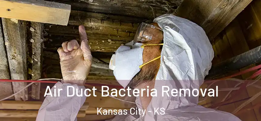  Air Duct Bacteria Removal Kansas City - KS