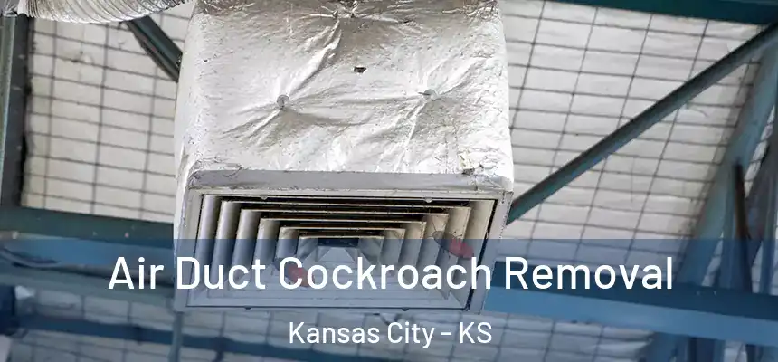  Air Duct Cockroach Removal Kansas City - KS