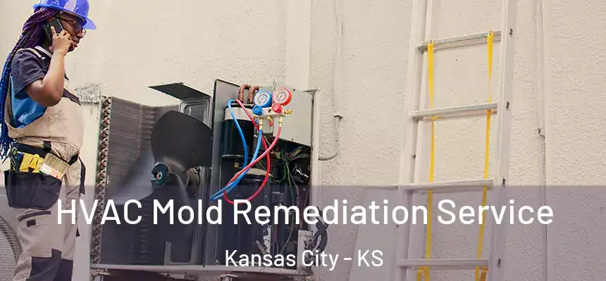  HVAC Mold Remediation Service Kansas City - KS