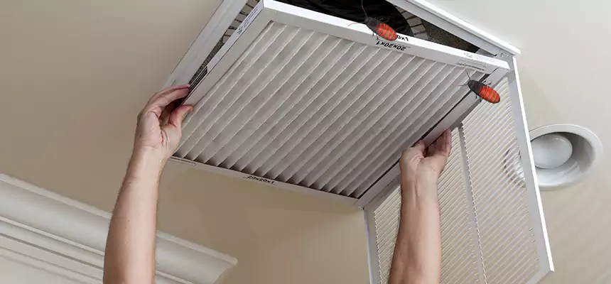 Preventive Cockroach-Proofing for Ducts in Kansas City