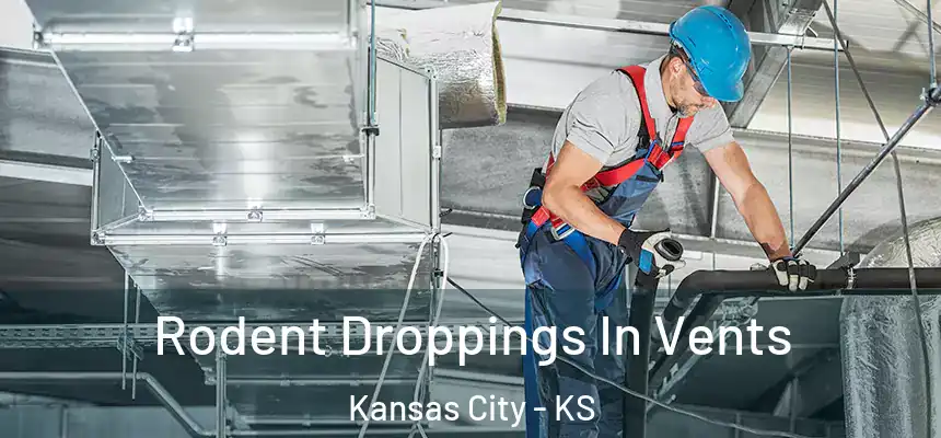  Rodent Droppings In Vents Kansas City - KS