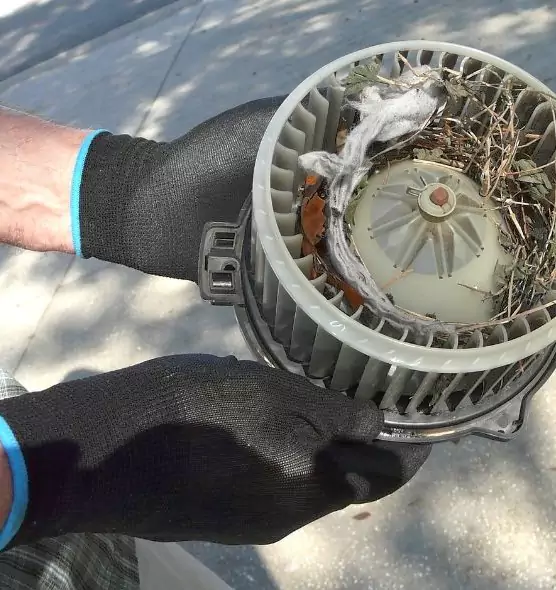 About Air Duct Rat Removal in Kansas City, KS