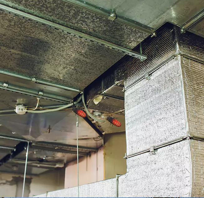 Why Homeowners & Businesses Trust Us in Kansas City, KS?