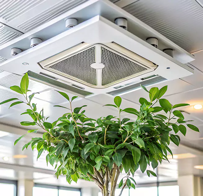 Why Homeowners & Businesses Trust Us in Kansas City, KS